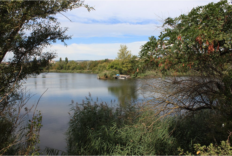 Lacul Grabler, de lângă satul Inota, în vara anului 2008.